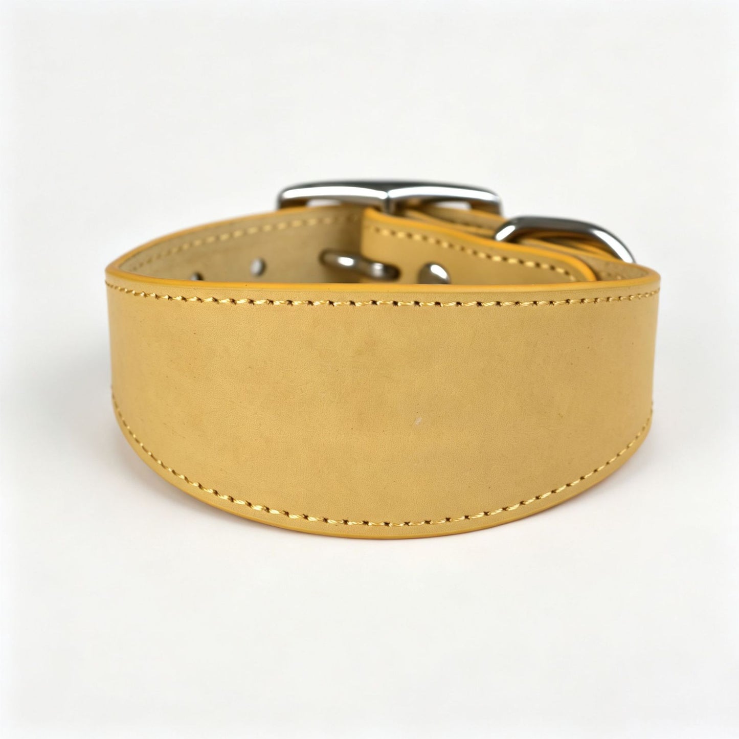 Leather Dog Collar