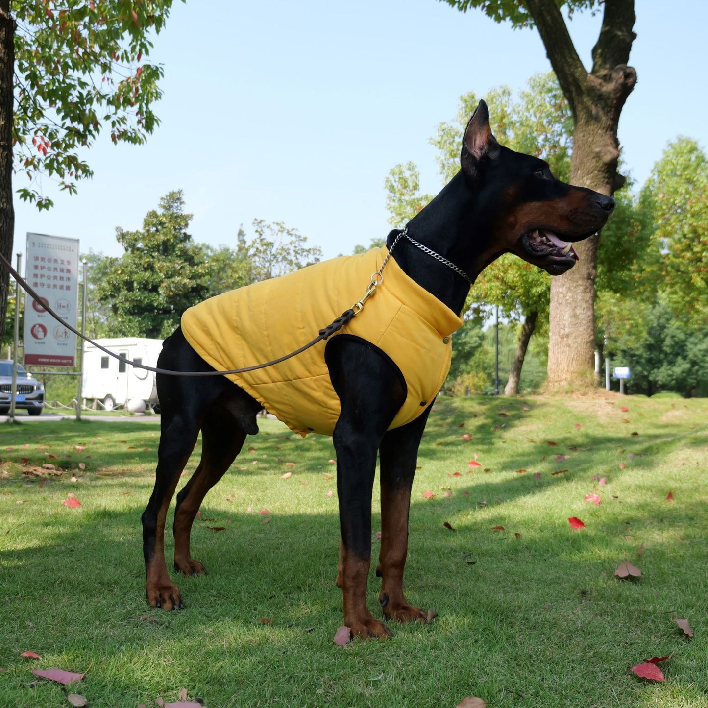Waterproof Dog Vest