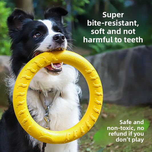 Durable Dog Chew Toy Set