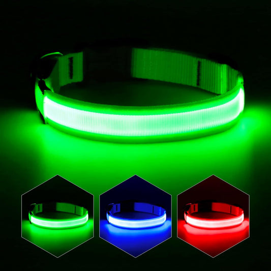 USB Rechargeable LED Dog Collar