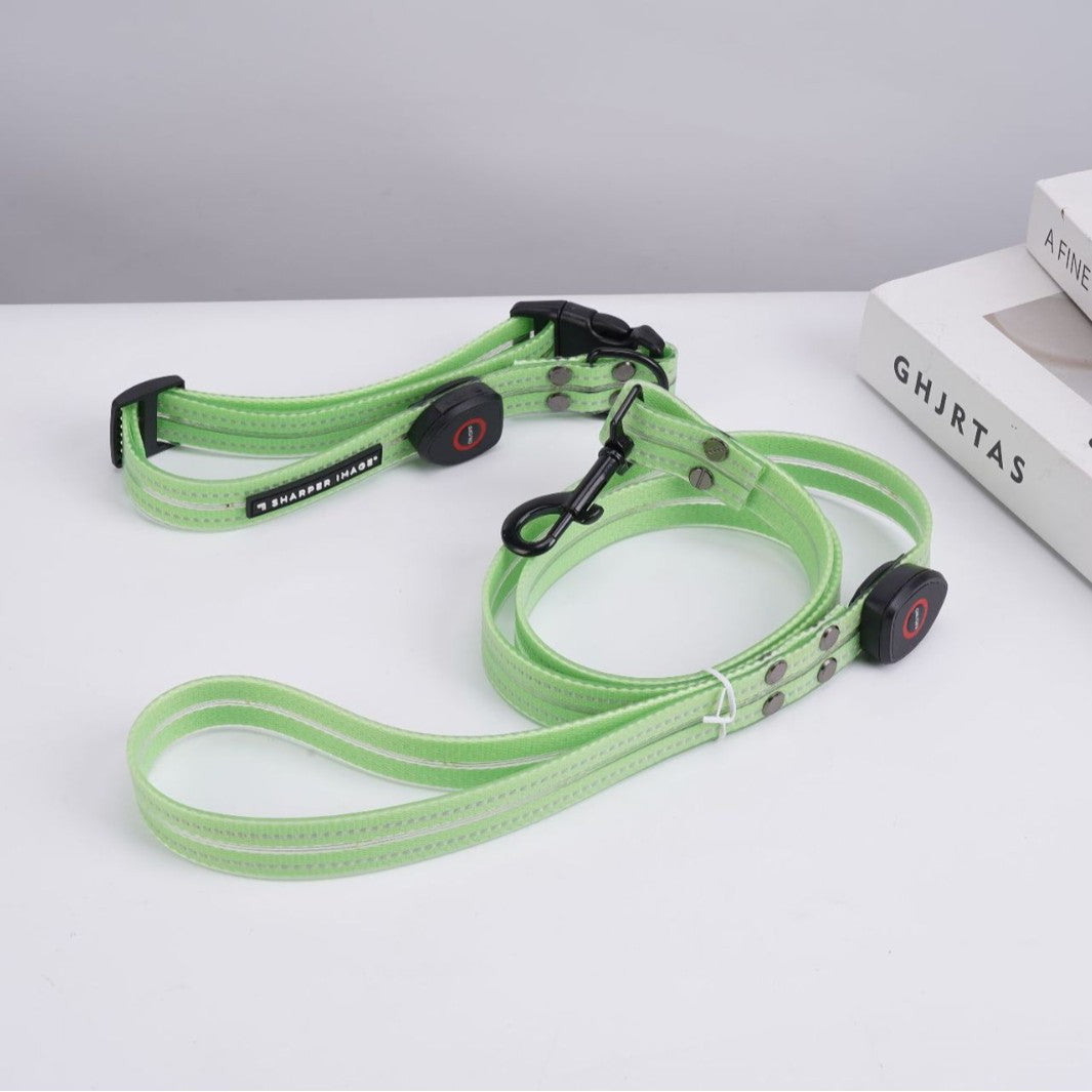 LED Light-Up USB Rechargeable Adjustable Dog Collar