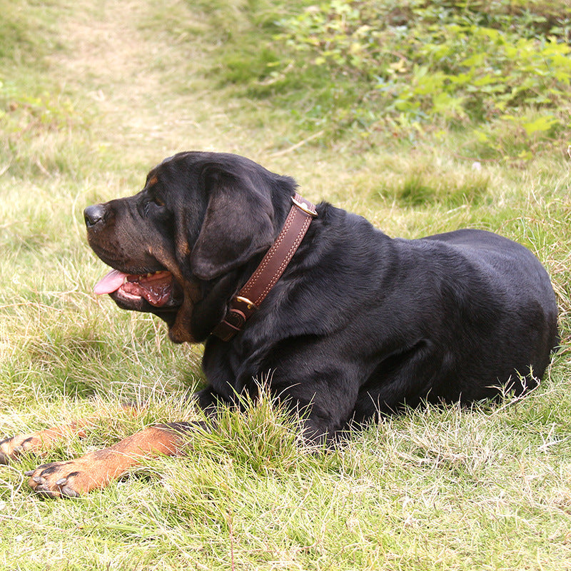 Cowhide Dog Collar with Copper Buckle