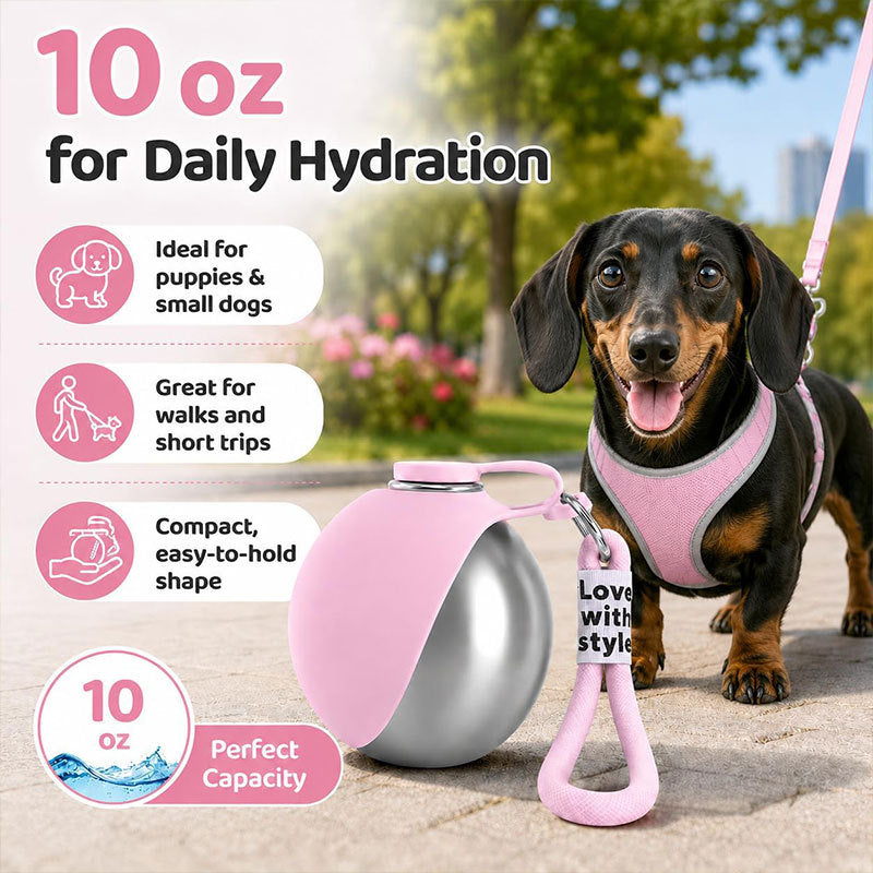 Insulated Stainless Dog Water Bottle