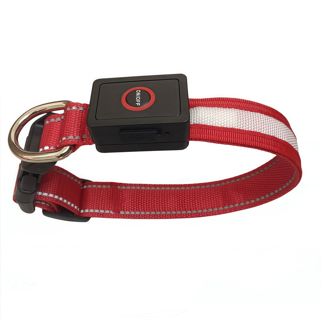 USB Rechargeable LED Dog Collar