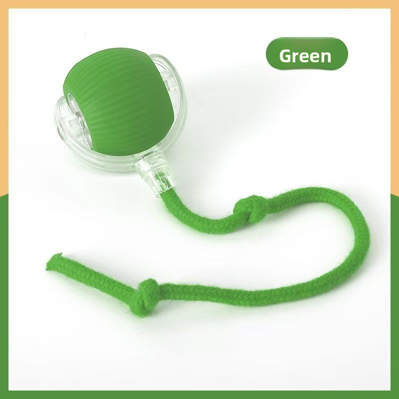 Smart Cat Toy Ball for Self-Entertainment, Automatic Pet Cat and Dog Walking Ball