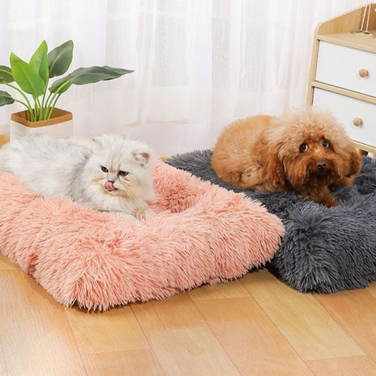 Thickened pet dog sleeping pad