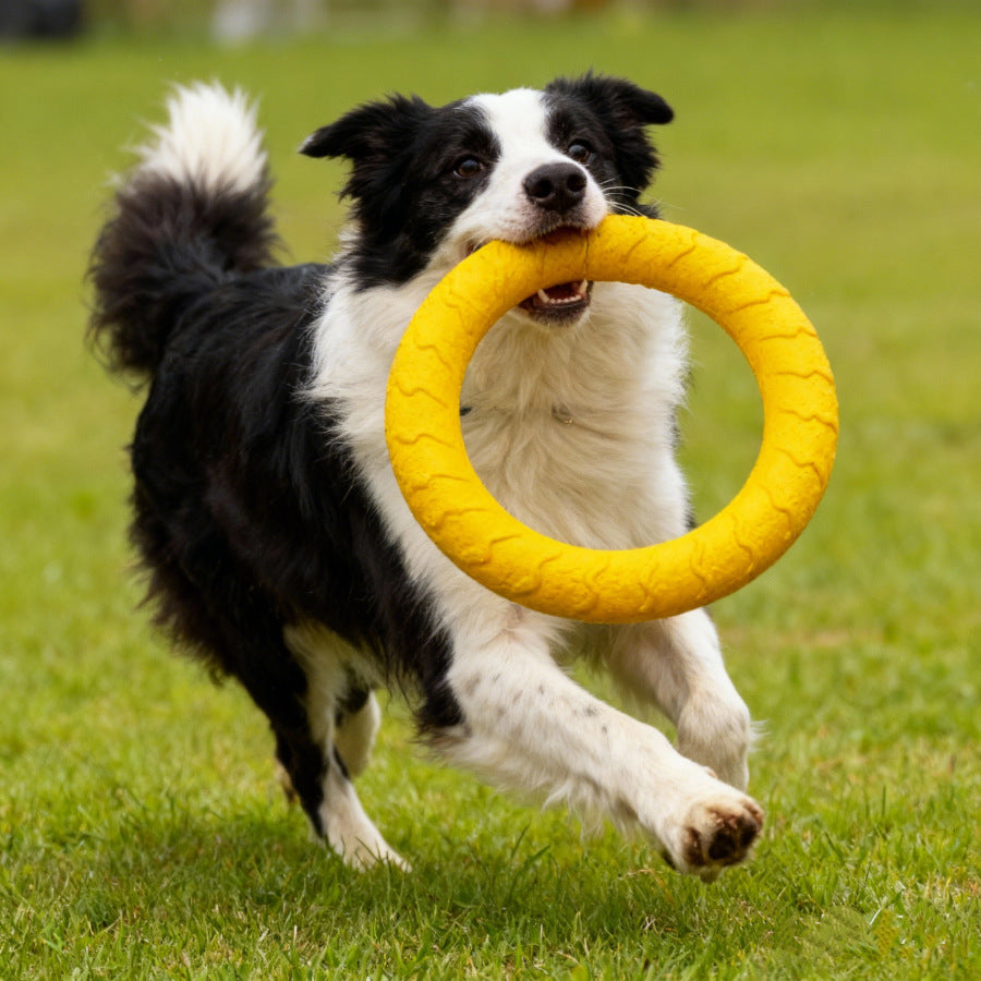 Durable Dog Chew Toy Set