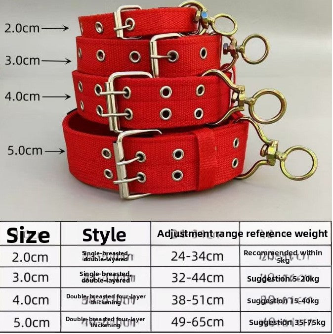 Widened Double Row Dog Collar with Leash
