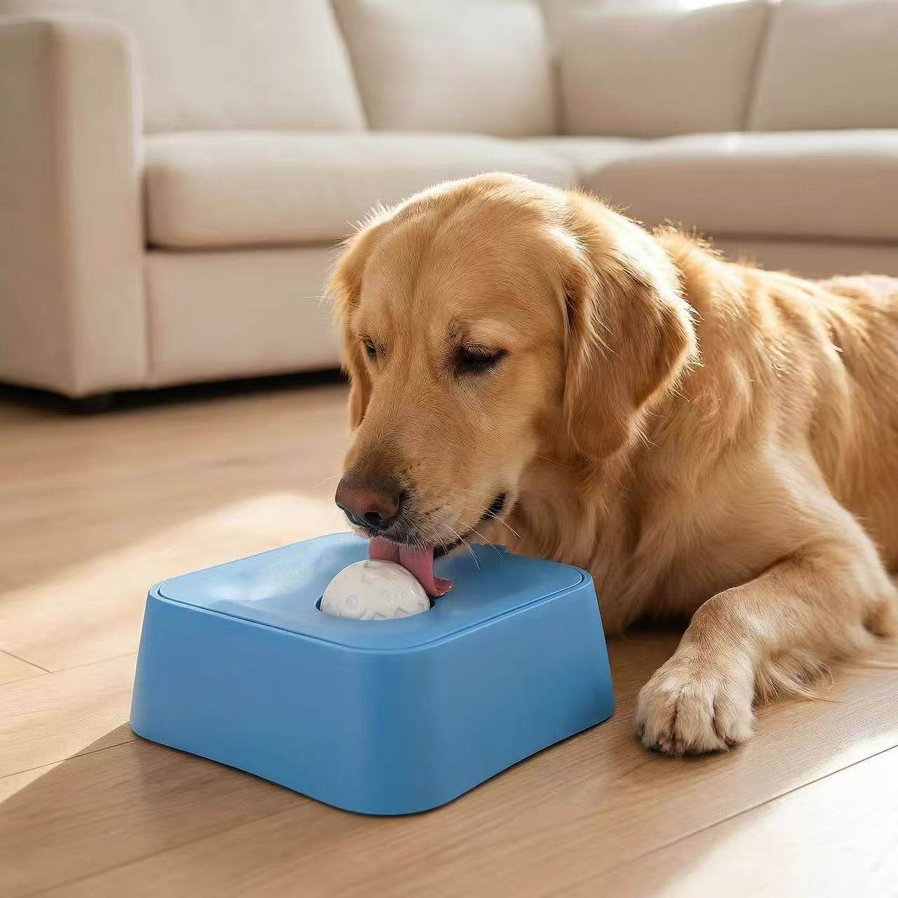 Slow Feeder Dog Bowl with Water Compartment