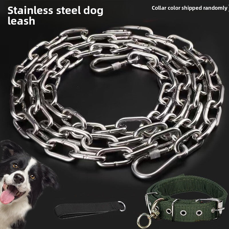 Stainless Steel Dog Chain Leash