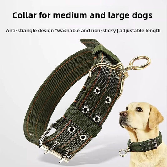 Widened Double Row Dog Collar with Leash