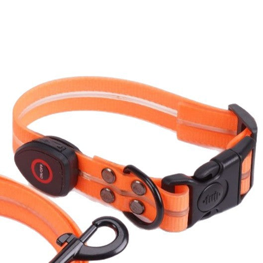LED Light-Up USB Rechargeable Adjustable Dog Collar