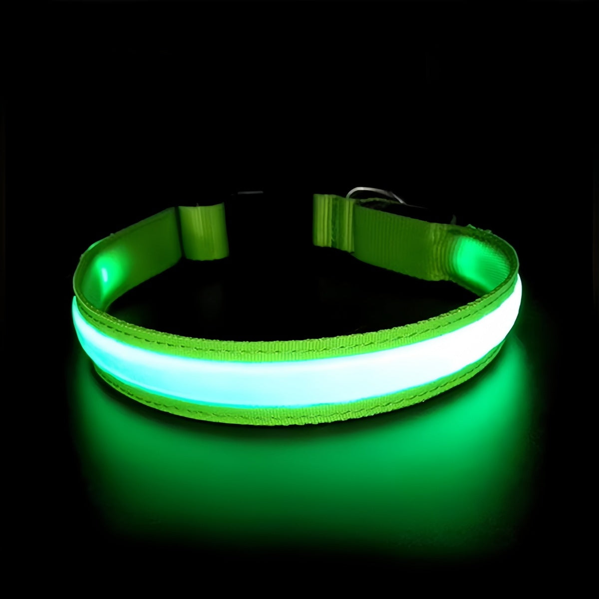 USB Rechargeable LED Dog Collar