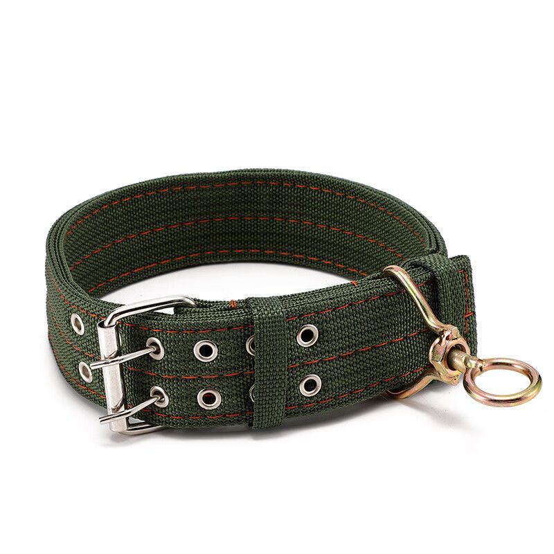 Widened Double Row Dog Collar with Leash