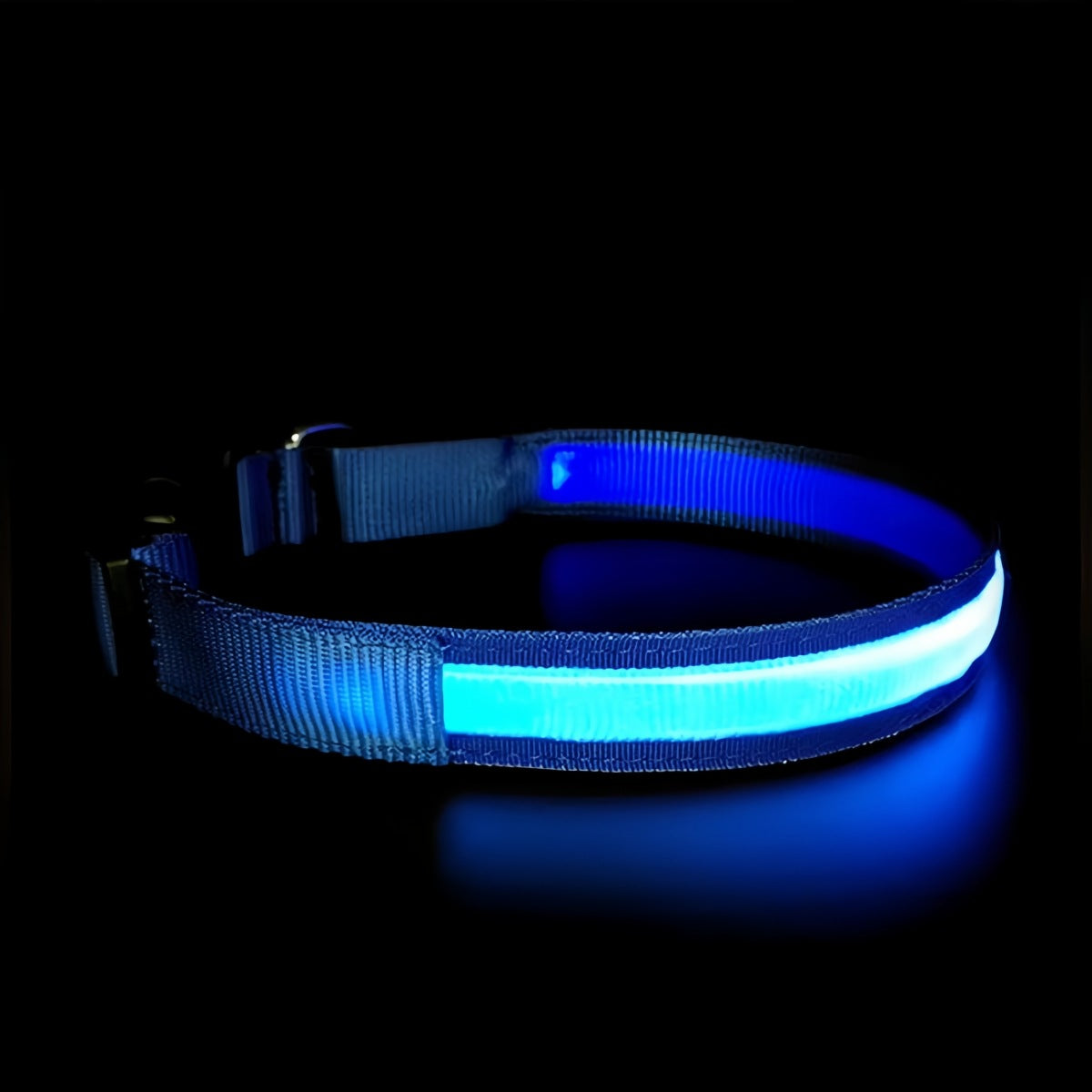 USB Rechargeable LED Dog Collar