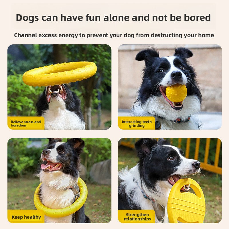 Durable Dog Chew Toy Set