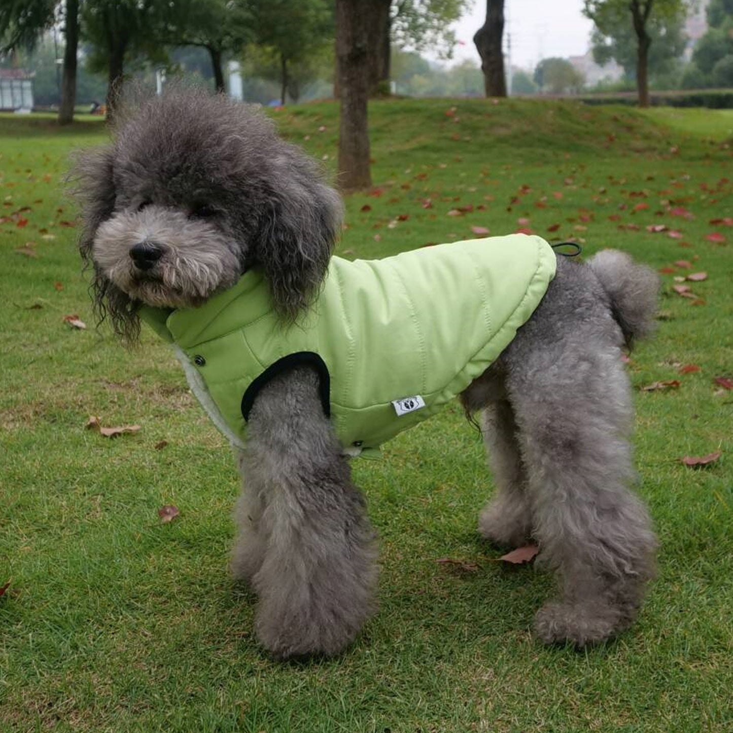 Waterproof Dog Vest