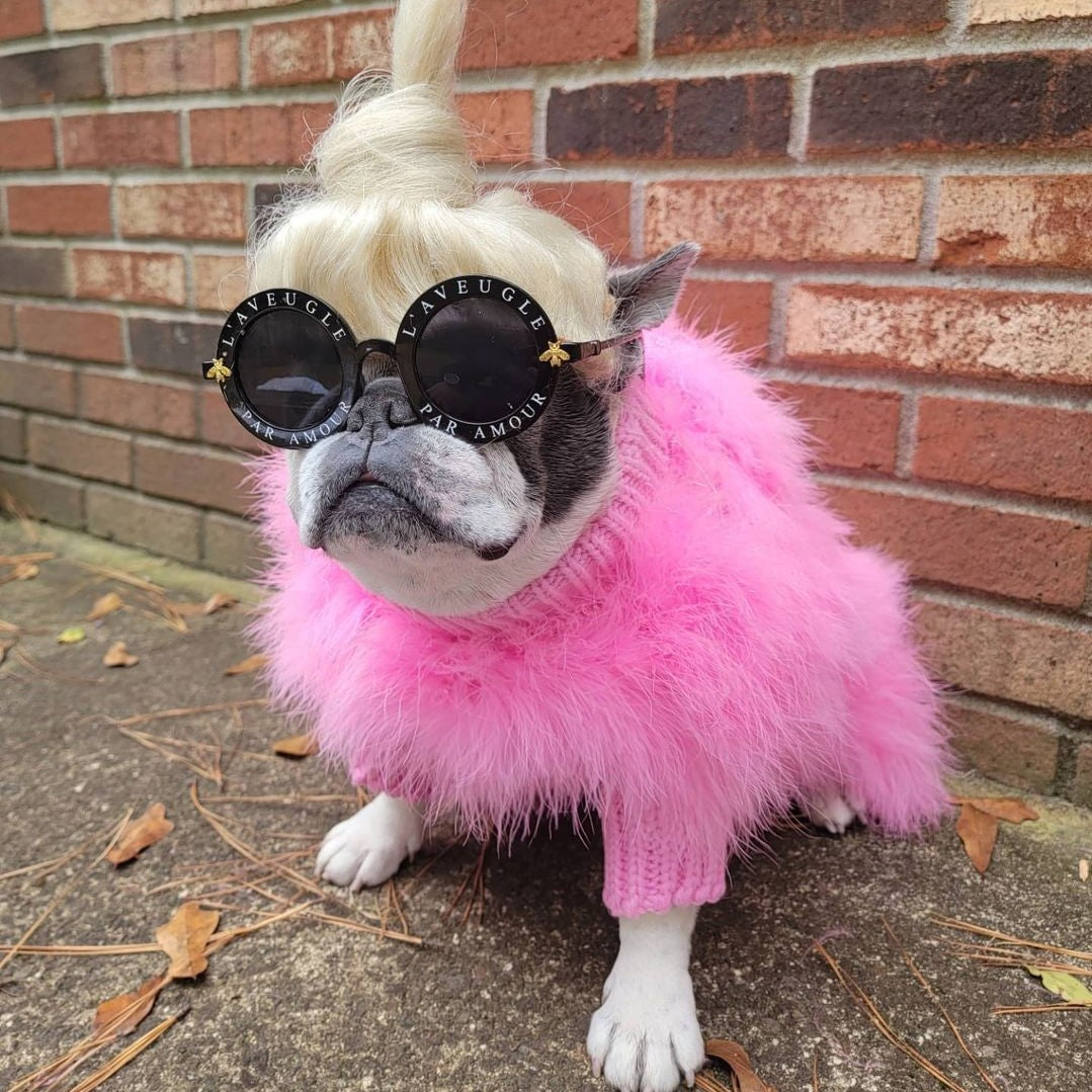 Dog clothes
