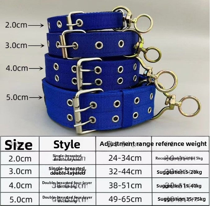 Widened Double Row Dog Collar with Leash