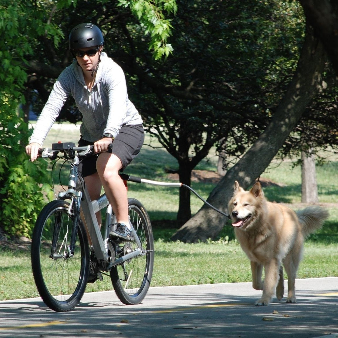 Bicycle Dog Walking Leash with Elastic Buffer