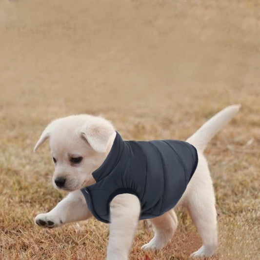 Windproof Waterproof Dog Winter Jacket