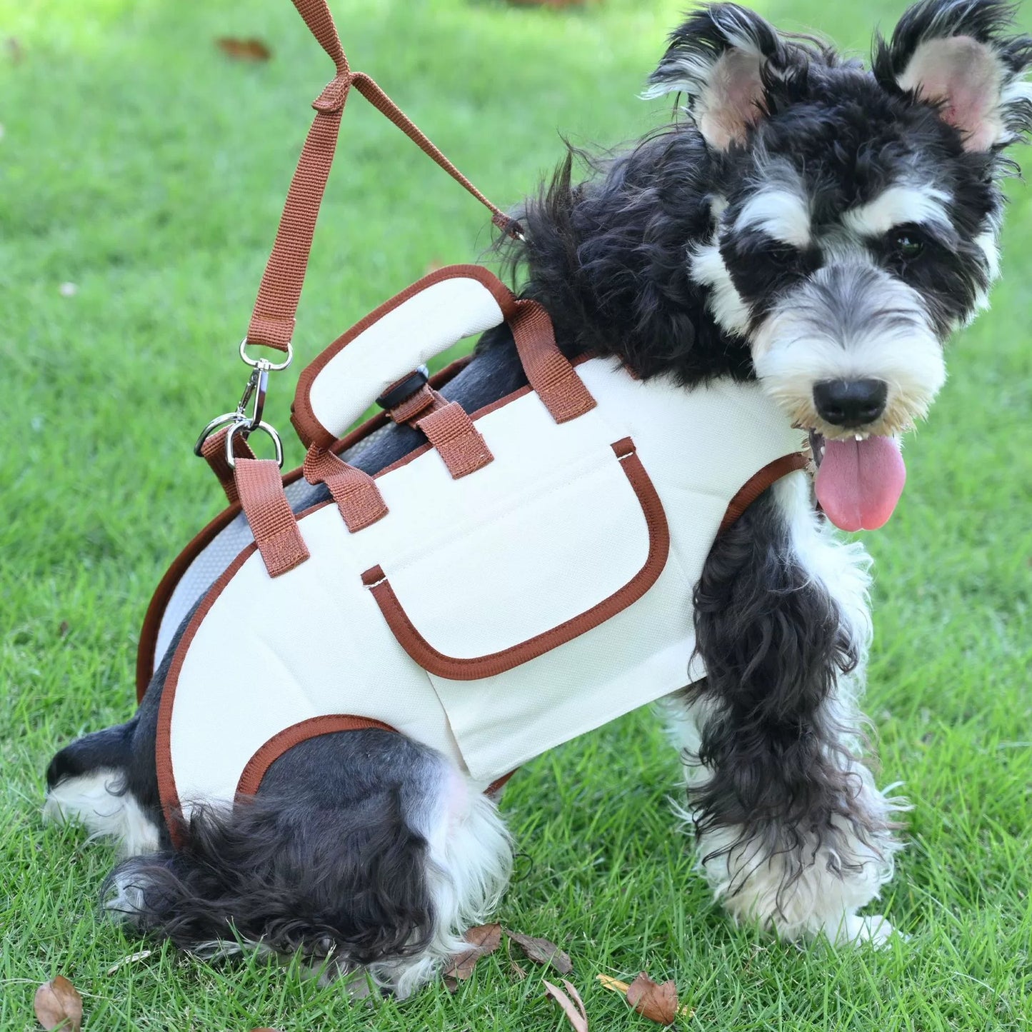 Portable Dog and Cat Carrier Backpack