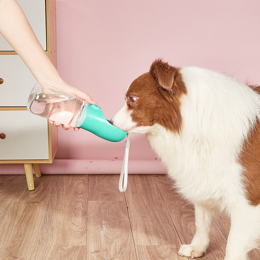 Dog drinking cup travel item