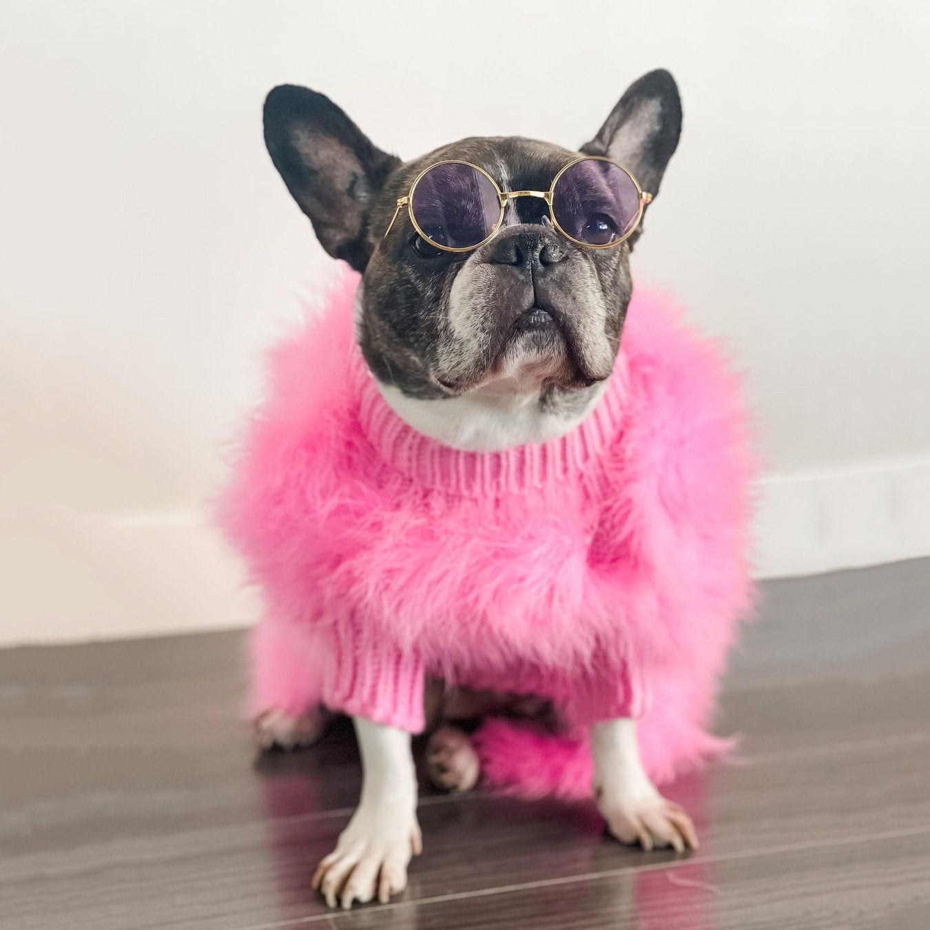 Dog clothes