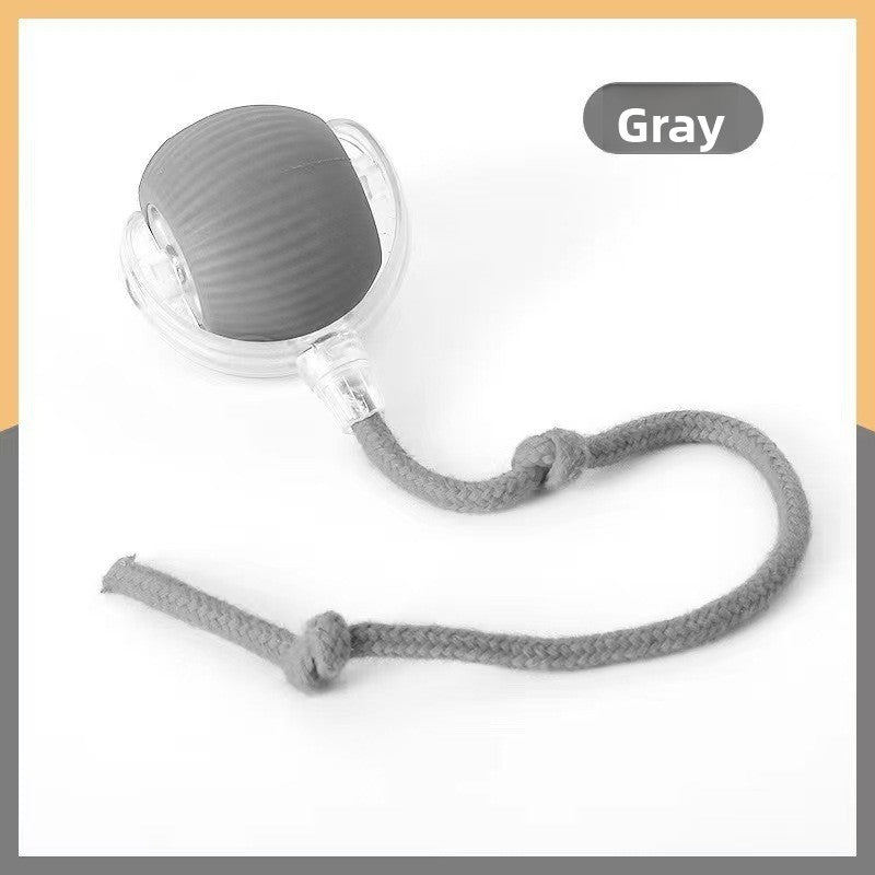 Smart Cat Toy Ball for Self-Entertainment, Automatic Pet Cat and Dog Walking Ball