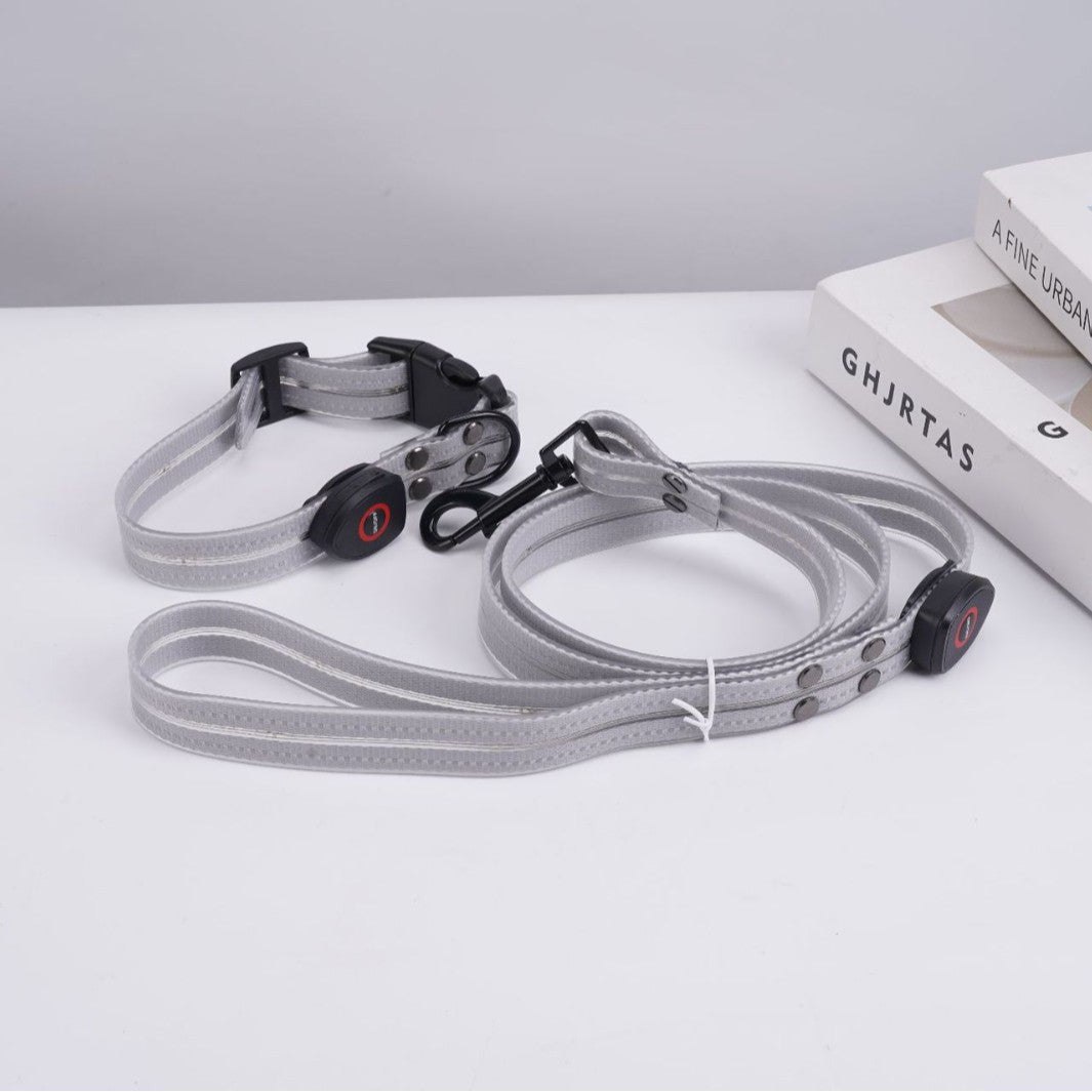 LED Light-Up USB Rechargeable Adjustable Dog Collar