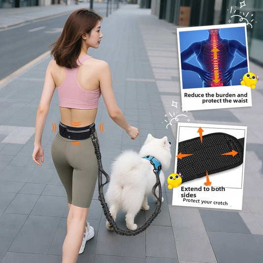 Hands-Free Running Dog Leash