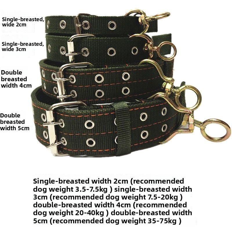 Widened Double Row Dog Collar with Leash