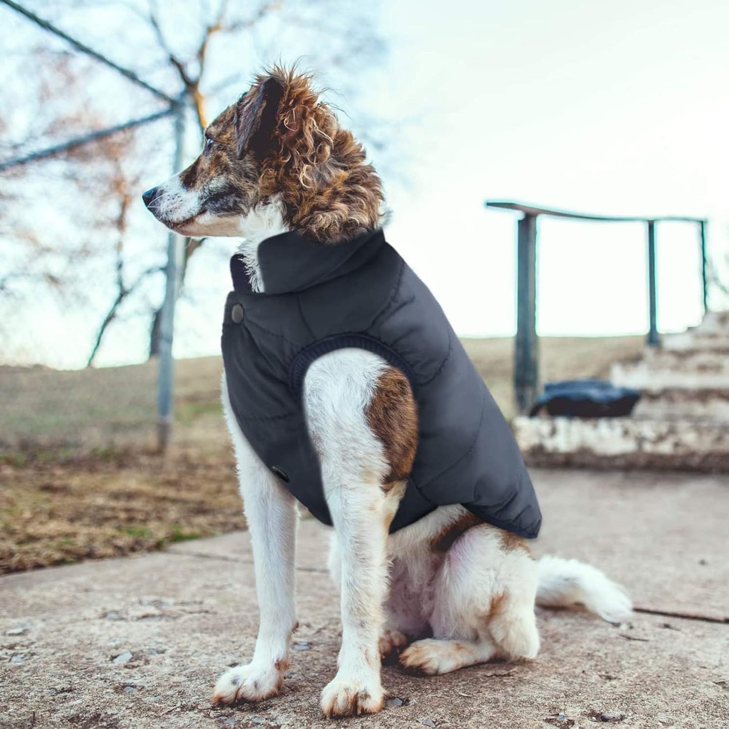Windproof Waterproof Dog Winter Jacket