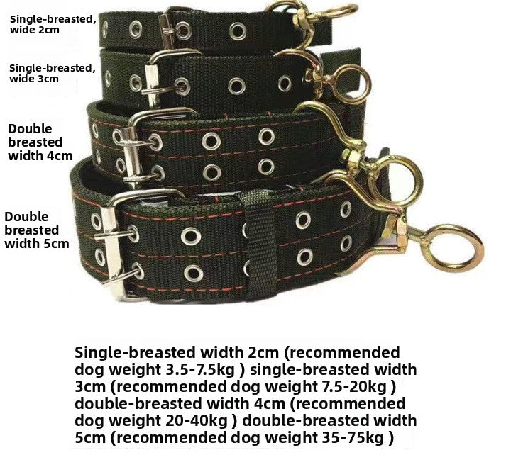 Widened Double Row Dog Collar with Leash