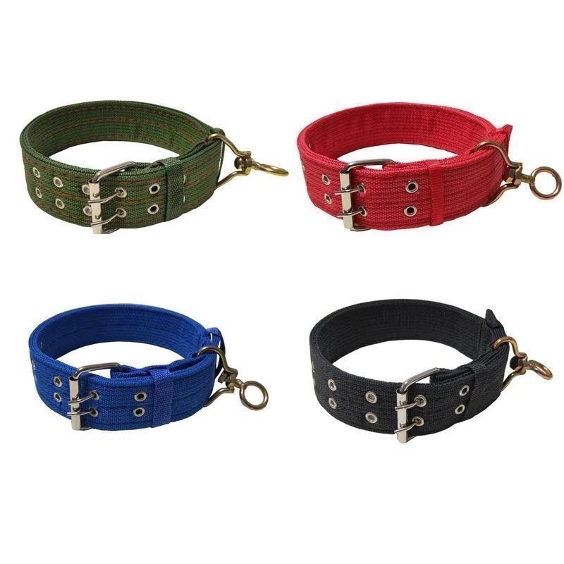 Widened Double Row Dog Collar with Leash