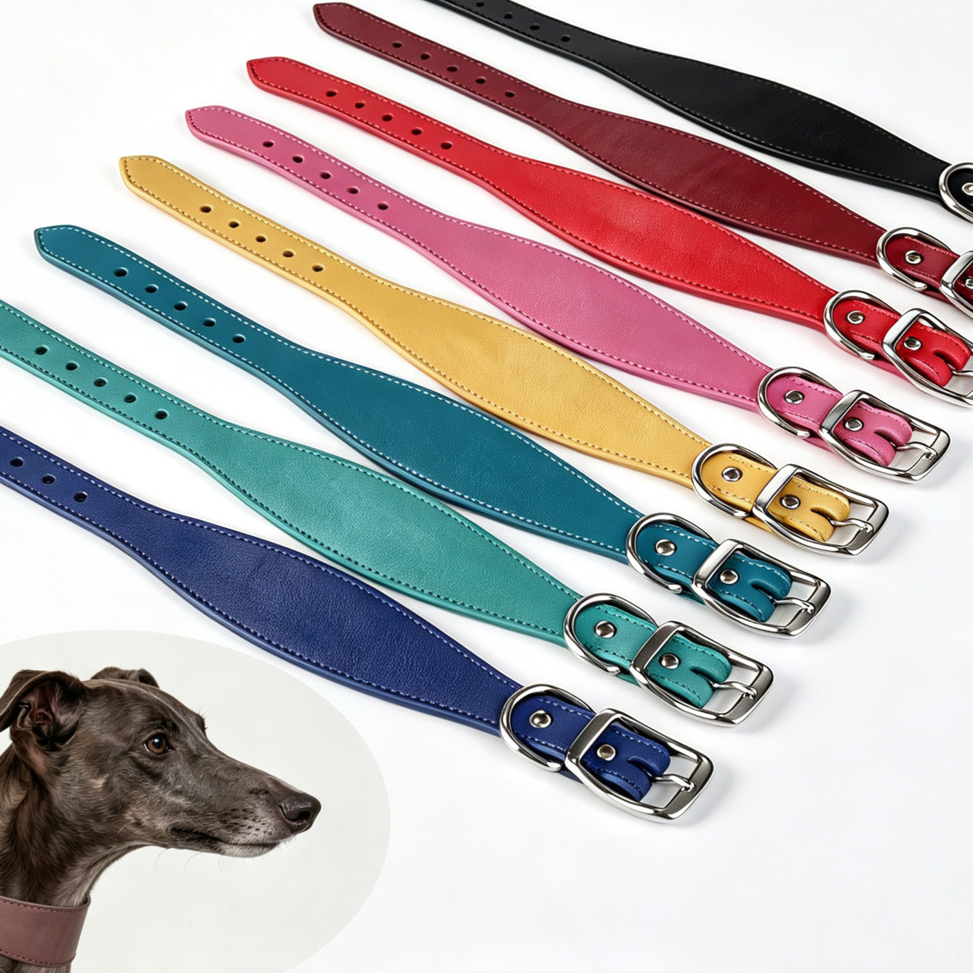 Leather Dog Collar