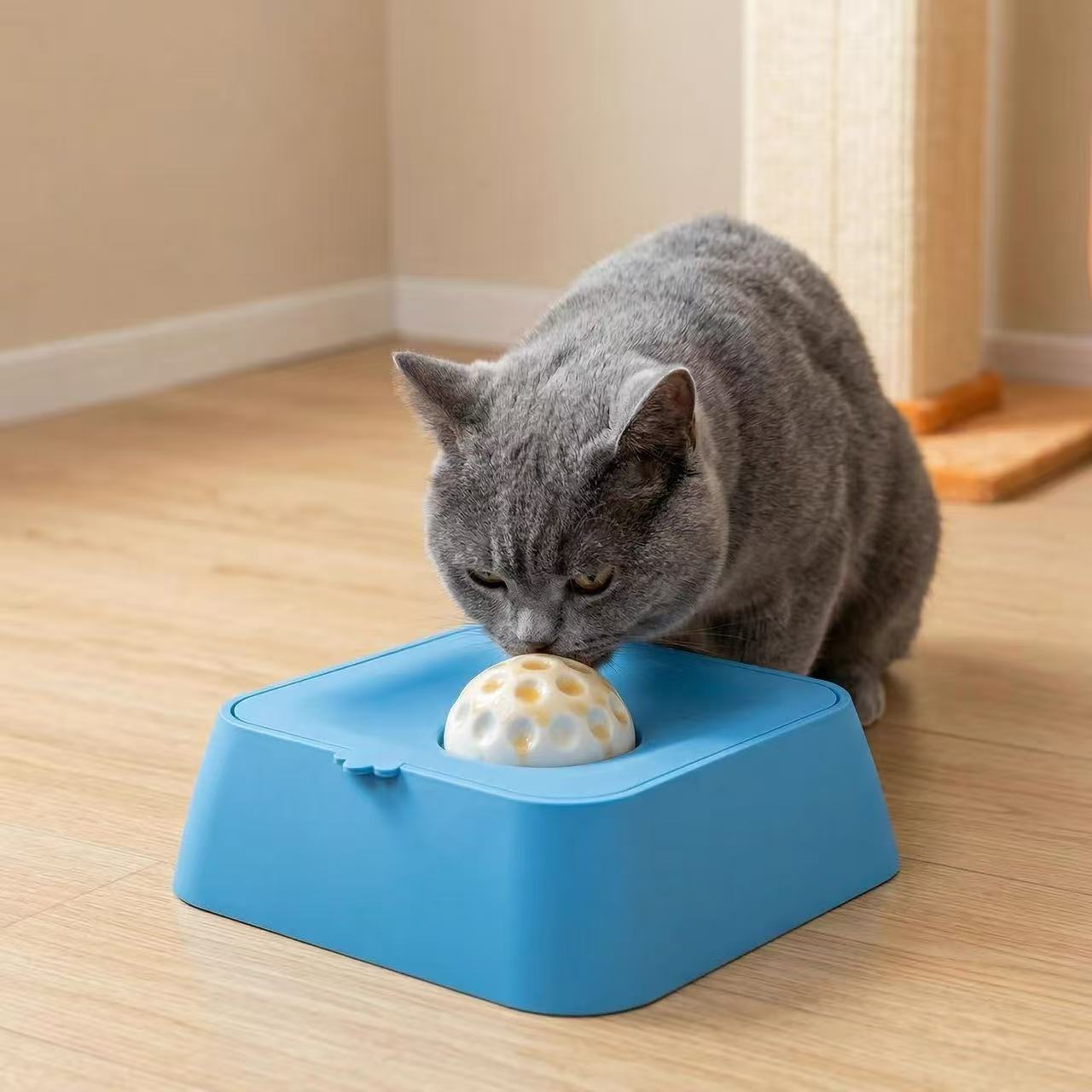 Slow Feeder Dog Bowl with Water Compartment